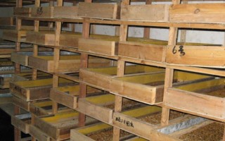 农村冷门养殖项目，可以养殖蜈蚣、蚯蚓等