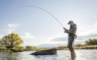 钓鲢鳙能不能用抛竿，可以使用且比较普遍