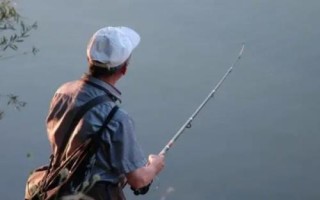 11月份是否容易垂钓鲢鳙，此时鲢鳙的活性不高、因此不易垂钓