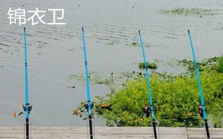 性价比高的筏竿推荐，看看这6款