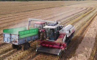 农资包括什么东西，包括种子、肥料、农药等