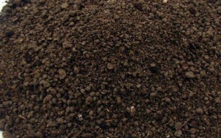 如何快速鉴别生物有机肥，可以直接用肉眼鉴别