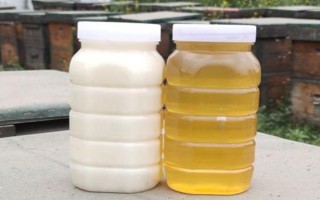 油菜花蜂蜜的颜色，多呈特浅琥珀色