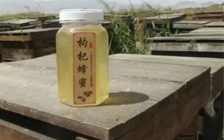 枸杞蜜的价格，不同地区的售价各不相同