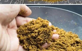 六月份能钓鲤鱼，六月份的垂钓效果比较好