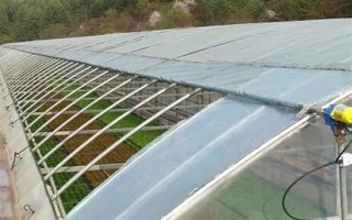 大棚的放风方法，根据天气状况控制放风口的宽度