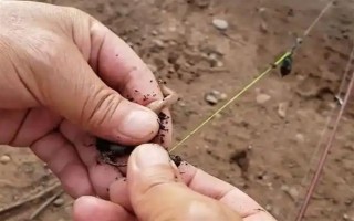 钓鱼挂蚯蚓的方法，常见以下3种方法