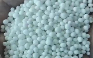 种植金银花的要点，施肥以有机肥为主