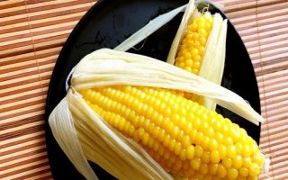 辽禾308玉米种子介绍,春播平均生育期135.7天