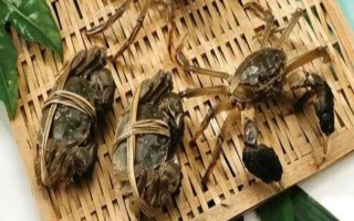 大闸蟹有哪些形态特征，头胸甲为圆方形