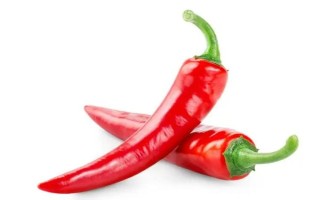 冬季适合种植哪些经济作物，适合种大白菜、辣椒、马铃薯等