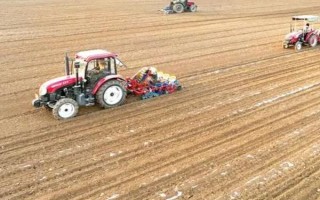 谷子的种植管理技术，先晒种再浸种