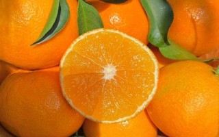 好吃的水果有哪些,常见草莓、火龙果、砂糖桔等品种