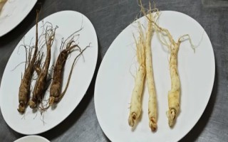 人参叶子的外形特征，呈扁平状