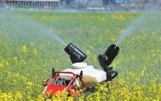 怎样防治小菜蛾，可农业防治、物理防治或化学防治