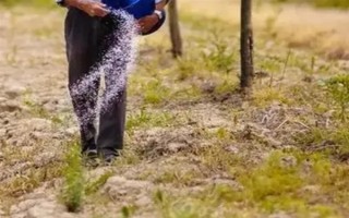 过量施用氮肥的危害，将会导致土壤氮素过剩