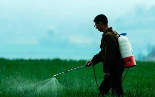 葡聚烯糖如何使用,勿与碱性农药、铜汞制剂混用