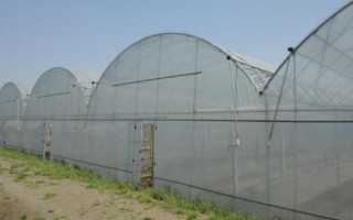 农用薄膜的类型,包括长寿薄膜、轻薄型薄膜、多用途薄膜等种类