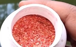 多鳞白甲鱼的生活环境，喜欢生活在砂石底质的高山溪流中