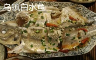 浙江省桐乡市的特产,杭白菊是我国传统出口名特产品