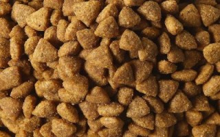 杜宾犬适合吃什么狗粮，爱慕丝、麦顿、麦德琳等品牌均为适宜选择