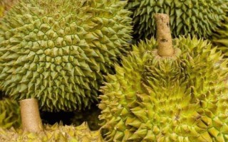 榴莲适合什么季节吃，6-7月食用为佳