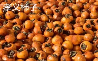 山西孝义市的特产，孝义火烧是当地特殊风味小吃