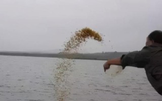 钓鲫鱼怎么打窝,一般来说都需要提前打窝