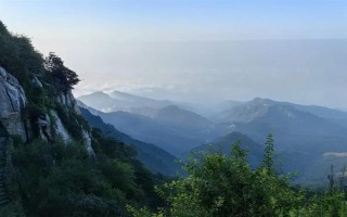 山东泰安市的水果特产