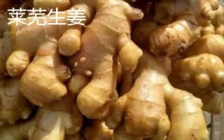 生姜的产地，我国东部、西南部等地区都有种植