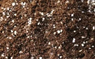 如何快速自制多肉土，可以选用泥炭土、珍珠岩、蛭石等混合配制
