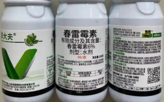 春雷霉素能防治稻瘟病吗，对苗瘟和叶瘟的防治效果都不错