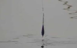 傍晚好钓鱼吗，温暖季节的傍晚好钓鱼