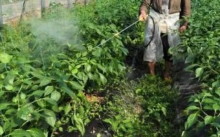 蔬菜上禁止施用哪些农药,这几类坚决不能用