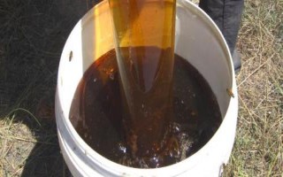 荞麦蜜简介，产于我国北方地区