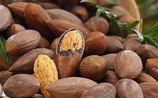 农村种植什么市场潜力大,这几个项目很有钱途