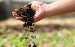 农家肥与化肥混用的好处,可以使养分供应更持久