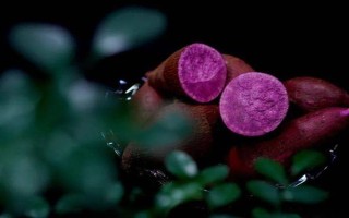 紫薯和红薯的区别，前者味甜较贵、后者甜味淡较便宜