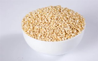 种植藜麦的前景，当前市场需求大前景可观