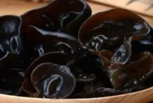 木耳长在哪里，秋木耳和春木耳的收获季节不同