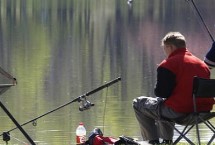 线组搭配，水草区是钓鱼最理想的钓位