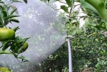 多菌灵可用于土壤吗,通常为15-30天左右