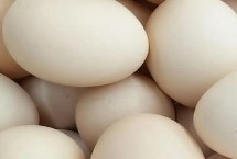 买鸡蛋怎么挑选，主要差异在于颜色不同