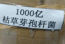枯草芽孢杆菌灌根用量，可防治青枯病、溃疡病、性软腐等