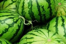 怎样挑选西瓜最甜,甘美西瓜的甜度首屈一指