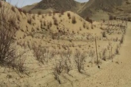 土地是不是可再生资源，可防风固沙、植物治理等