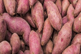 薯类的作物，包括甘薯、马铃薯、山药等