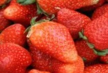 什么药能让草莓苗粗壮，这3种是品质优的大果型品种