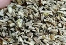 松果菊种子的售价，通常为100-160元左右/斤