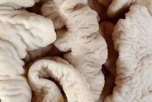 猪大肠的保存最佳方法，长度在5-6米左右